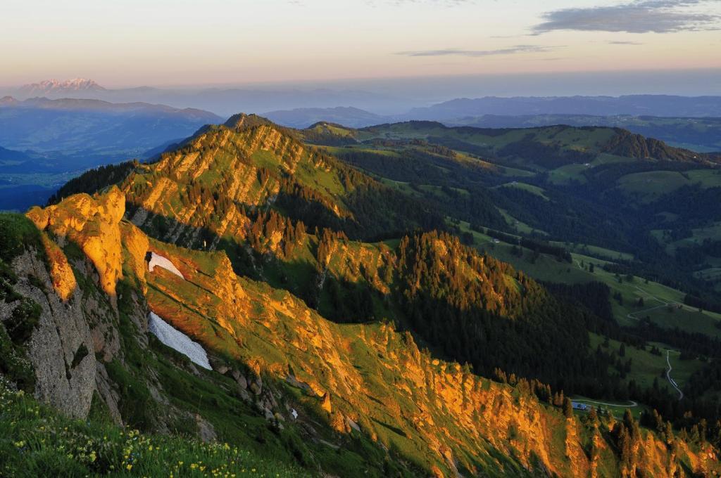 Alpin & Wellness Resort Hotel Ludwig Royal Оберщауфен Екстериор снимка